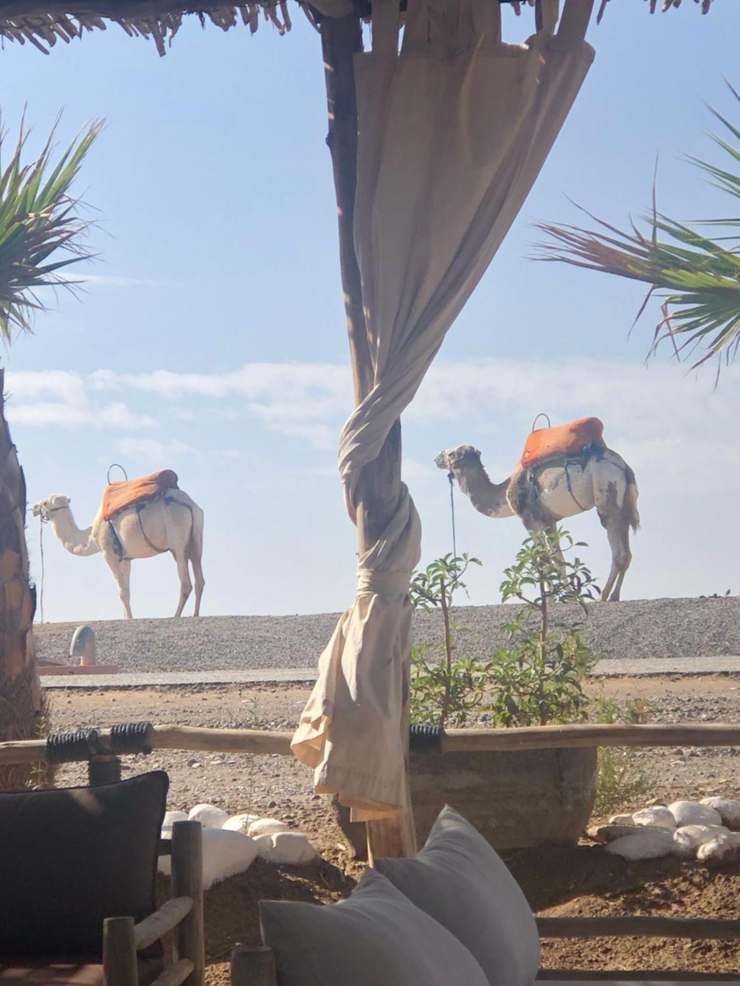 מרקש Riad Abbassia Marrakech Premiere מראה חיצוני תמונה