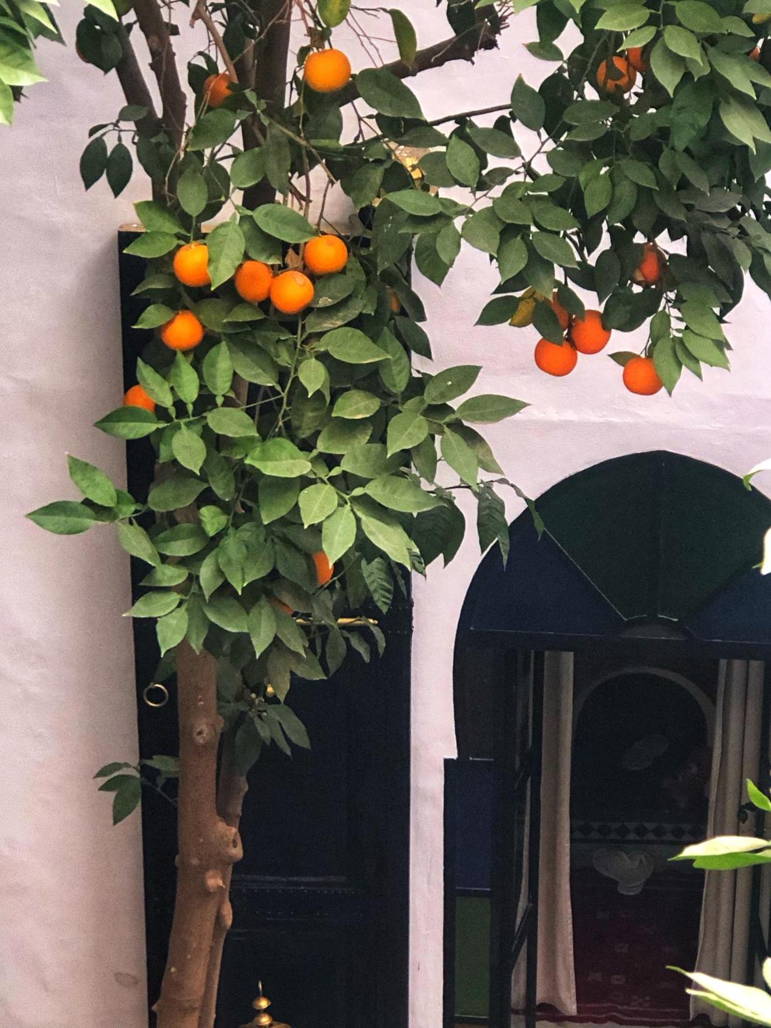 מרקש Riad Abbassia Marrakech Premiere מראה חיצוני תמונה